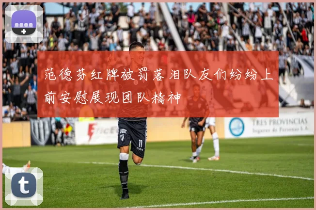 范德芬红牌被罚落泪队友们纷纷上前安慰展现团队精神